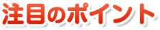 注目のポイント