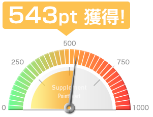 543pt獲得!