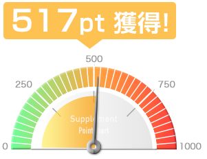 517pt獲得!