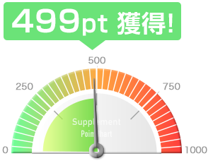 499pt獲得!
