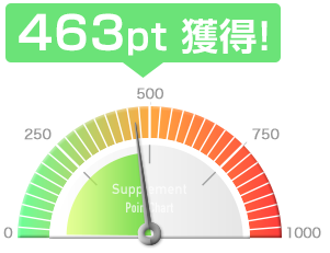 463pt獲得!